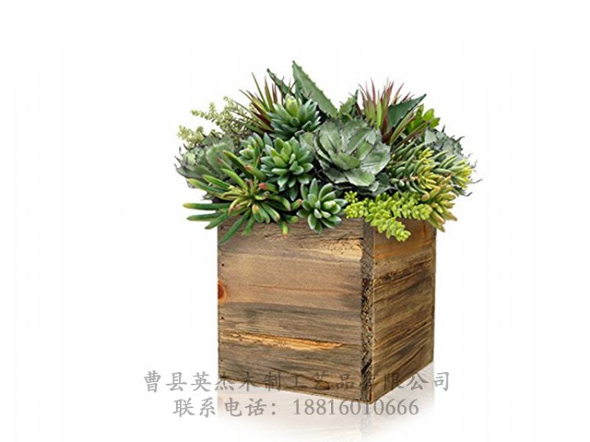 點(diǎn)擊查看詳細(xì)信息<br>標(biāo)題：木制花盆 閱讀次數(shù)：811